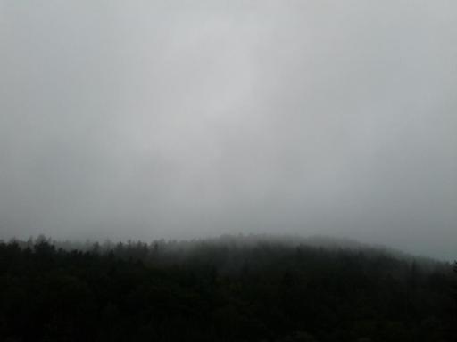 539133_4150461327591_796963864_n